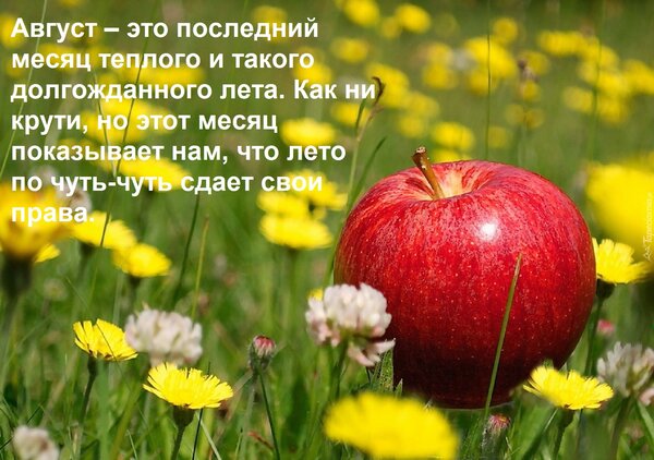Открытка Август – это последний месяц теплого и такого долгожданного лета. Как ни крути, но этот месяц показы