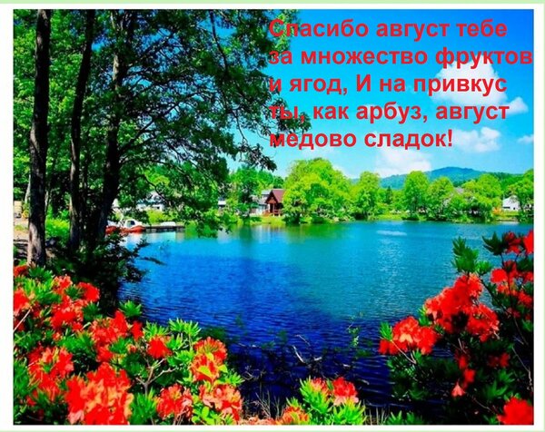 Открытка Спасибо август тебе за множество фруктов и ягод, И на привкус ты, как арбуз, август медово сладок!
