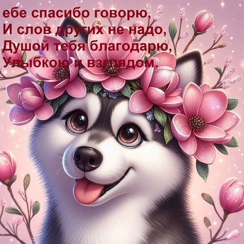 Открытка Тебе спасибо говорю, и слов других не надо, душой тебя благодарю, улыбкою и взглядом.