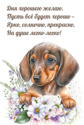 Открытка Дня хорошего желаю