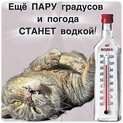 Открытка Еще пару градусов и погода станет водкой!