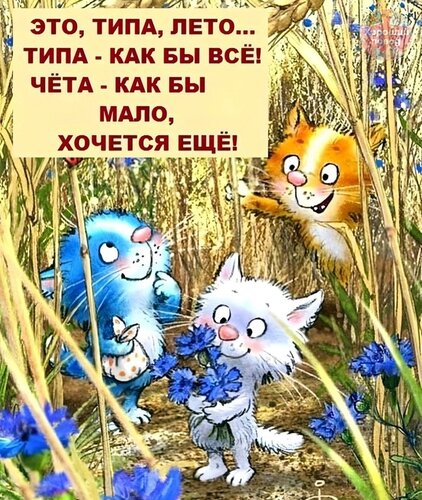 Открытка Это типа лето... типа - как бы все!