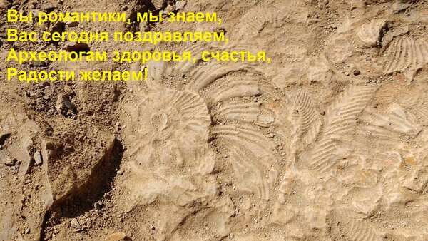 Открытка Вы романтики, мы знаем, Вас сегодня поздравляем, Археологам здоровья, счастья, Радости желаем!