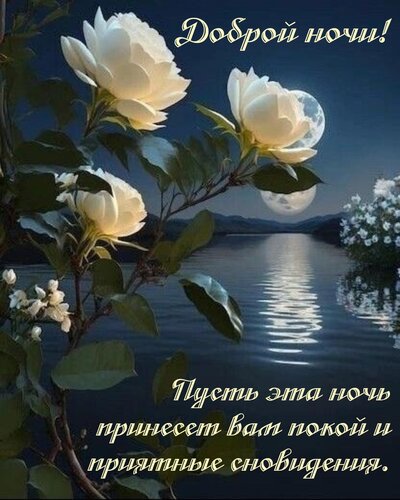 Открытка Пусть эта ночь принесет вам покой и приятные сновидения.