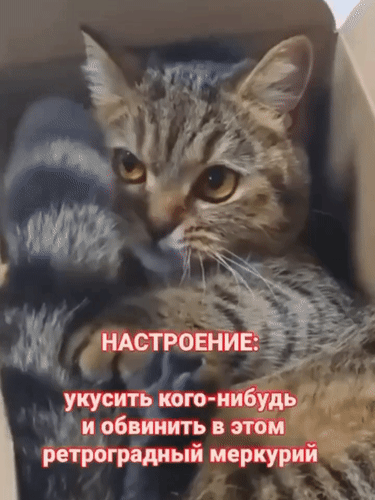 Анимированная открытка Настроение: укусить кого-нибудь и обвинить в этом ретроградный меркурий