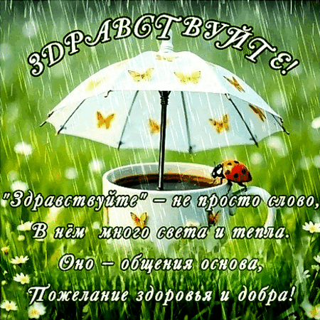 Анимированная открытка Здравствуйте!