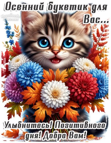 Открытка Добрый день