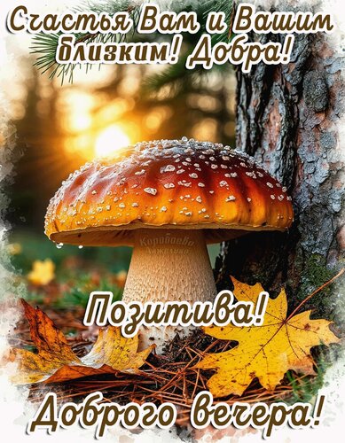 Открытка Добрый вечер