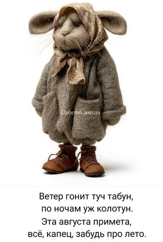 Открытка Это августа примета все капец забудь про лето