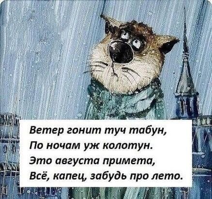 Открытка Это августа примета все капец забудь про лето