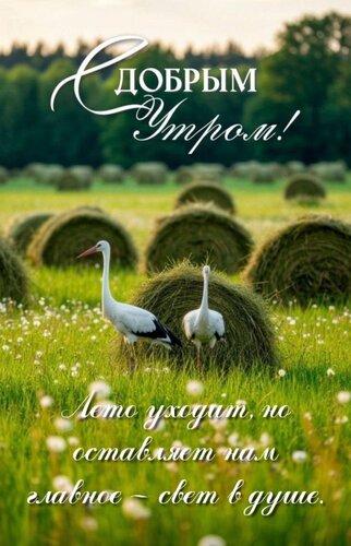 Открытка Лето уходит, но оставляет нам главное – свет в душе.