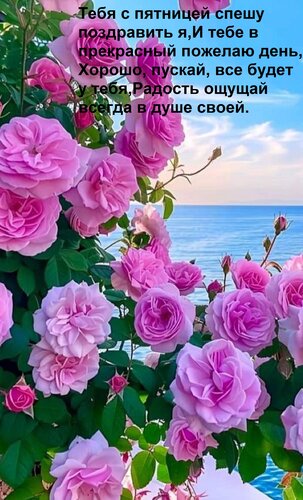Открытка Тебя с пятницей спешу поздравить я, И тебе в прекрасный пожелаю день, Хорошо, пускай, все будет у те