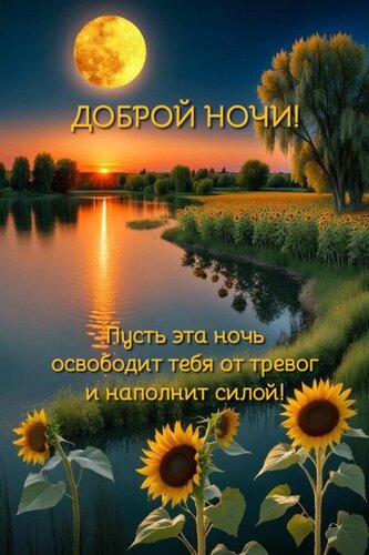 Открытка Пусть эта ночь освободит тебя от тревог и наполнит силой!