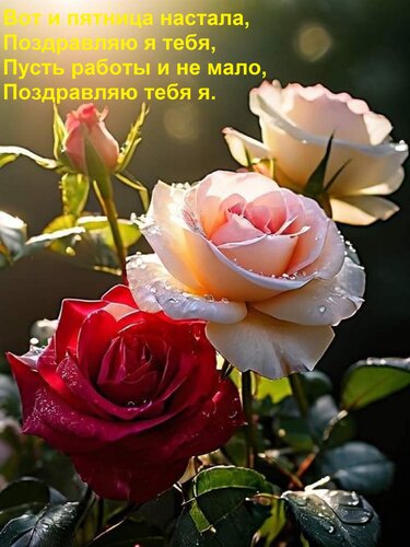 Открытка Вот и пятница настала, Поздравляю я тебя, Пусть работы и не мало, Поздравляю тебя я.