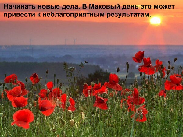 Открытка Начинать новые дела. В Маковый день это может привести к неблагоприятным результатам.