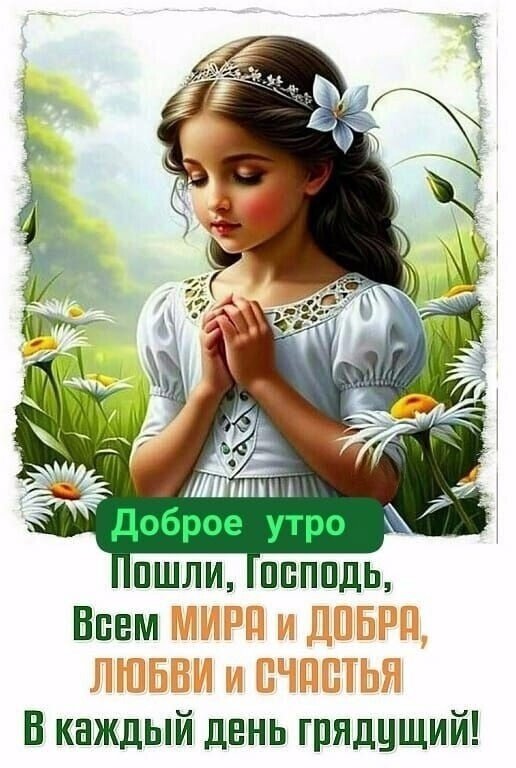 Открытка Доброе утро. Пошли, Господь, всем мира и добра...