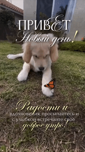 Анимированная открытка Привет, новый день! Радости и вдохновения, просыпайтесь и с улыбкой встречайте своё доброе утро!