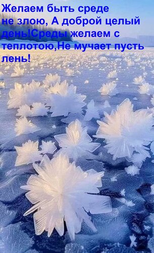 Открытка Желаем быть среде не злою, А доброй целый день! Среды желаем с теплотою, Не мучает пусть лень!