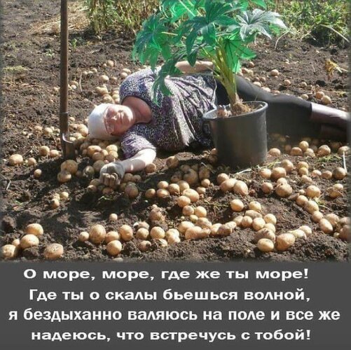 Открытка О море, море...