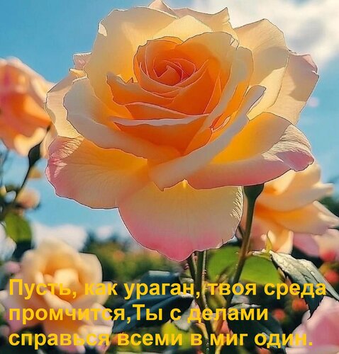 Открытка Пусть, как ураган, твоя среда промчится, Ты с делами справься всеми в миг один.