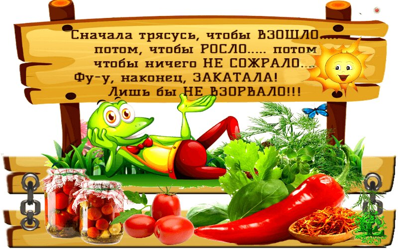 Открытка Сначала трясусь чтоб взошло