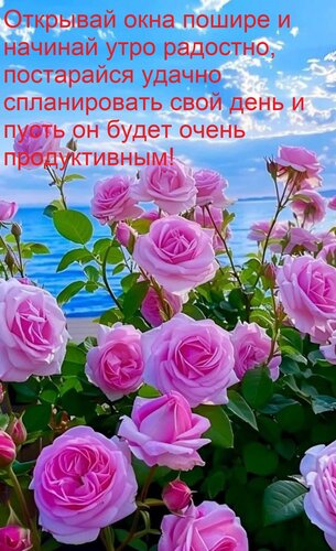 Открытка Открывай окна пошире и начинай утро радостно, постарайся удачно спланировать свой день и пусть он