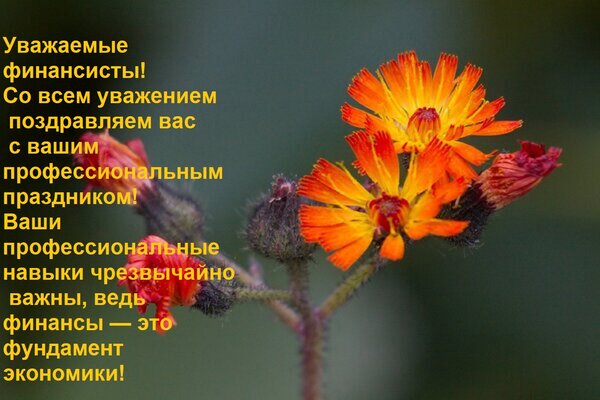 Открытка Уважаемые финансисты! Со всем уважением поздравляем вас с вашим профессиональным праздником!