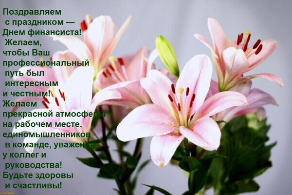 Открытка Поздравляем с праздником — Днем финансиста! Желаем, чтобы Ваш профессиональный путь был интересным и