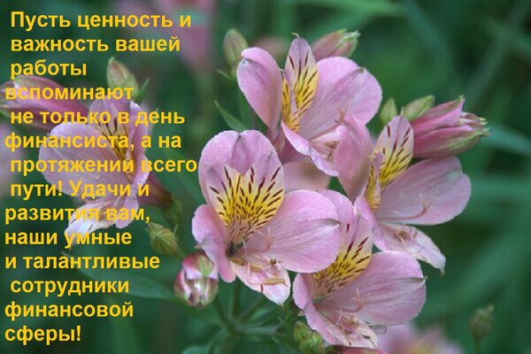 Открытка Пусть ценность и важность вашей работы вспоминают не только в день финансиста, а на протяжении всег