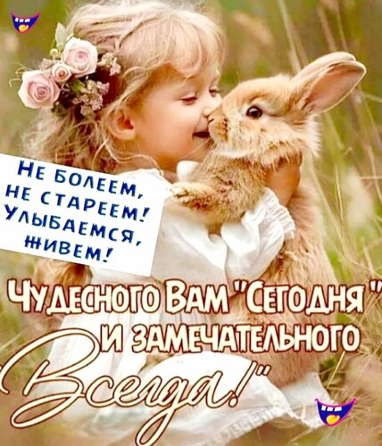 Открытка Чудесного вам сегодня