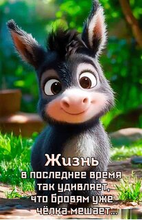 zhizn-tak-xorosha.jpg?z=75