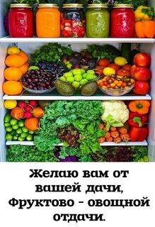 zhelayu-vam-na-vashej-dache-fruktovo-ovoshhnoj-otdachi.jpg?z=280