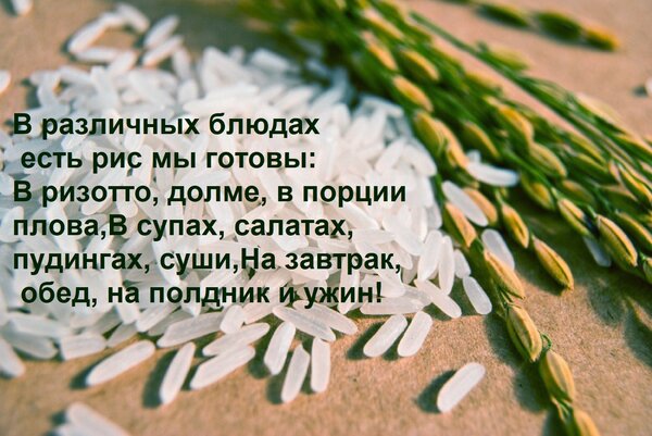 Открытка В различных блюдах есть рис мы готовы: В ризотто, долме, в порции плова, В супах, салатах, пудингах,