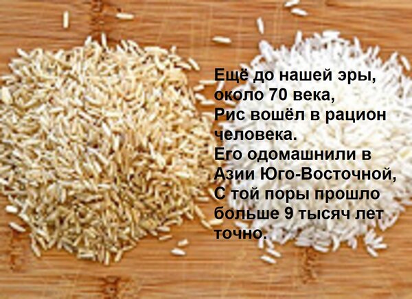 Открытка Ещё до нашей эры, около 70 века, Рис вошёл в рацион человека. Его одомашнили в Азии Юго-Восточной, С