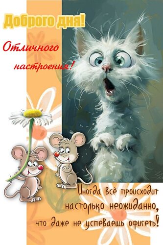 Открытка Добрый день
