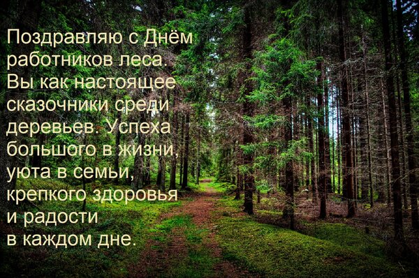 Открытка Поздравляю с Днём работников леса. Вы как настоящее сказочники среди деревьев. Успеха большого в жиз