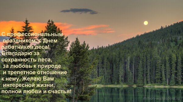 Открытка С профессиональным праздником, с Днем работников леса! Благодарю за сохранность леса, за любовь к пр
