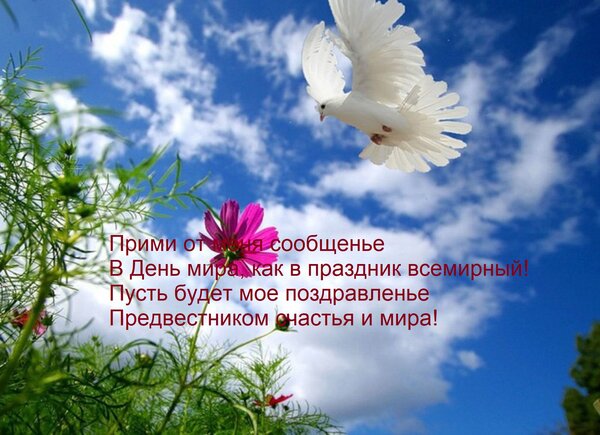 Открытка Прими от меня сообщенье В День мира, как в праздник всемирный! Пусть будет мое поздравленье Предвест