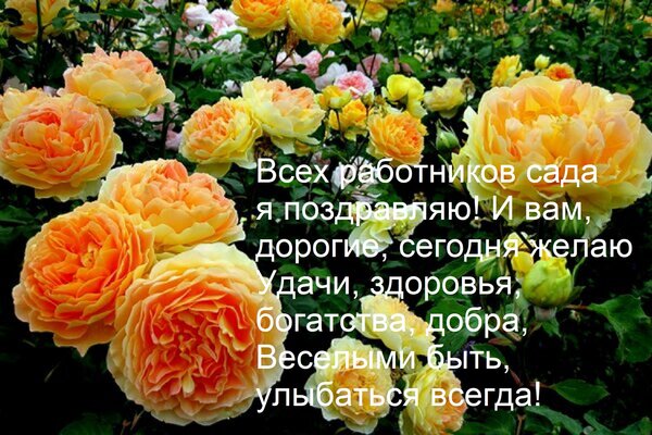 Открытка Всех работников сада я поздравляю! И вам, дорогие, сегодня желаю удачи, здоровья, богатства, добра,