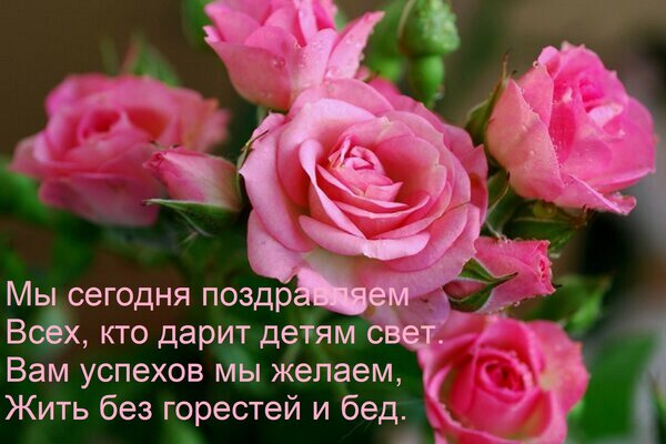 Открытка Мы сегодня поздравляем всех, кто дарит детям свет. Вам успехов мы желаем, жить без горестей и бед.