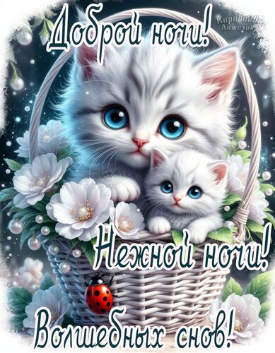 Открытка Спокойно ночи!