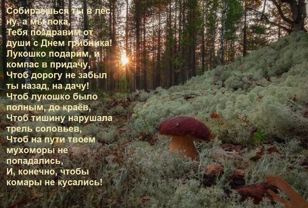 Открытка Собираешься ты в лес, ну, а мы пока, тебя поздравим от души с Днем грибника!