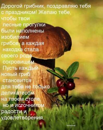 Открытка Дорогой грибник, поздравляю тебя с праздником! Желаю тебе, чтобы твои лесные прогулки были наполнены...