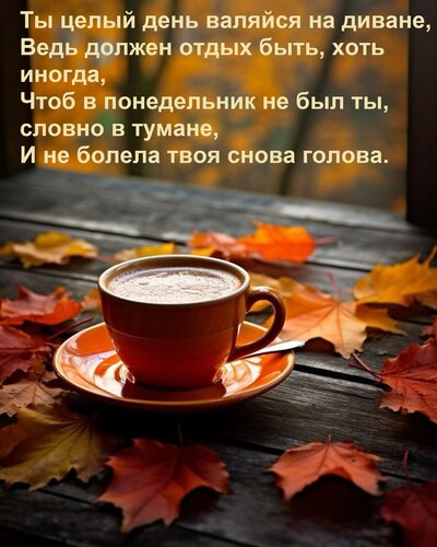 Открытка Ты целый день валяйся на диване, ведь должен отдых быть, хоть иногда...