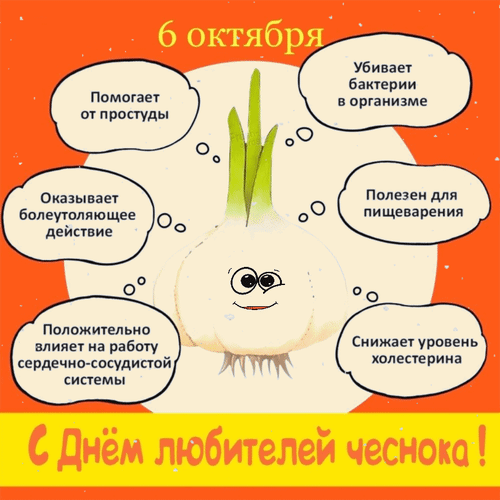 Анимированная открытка 6 октября С днём любителей чеснока! Помогает от простуды. Убивает бактерии в организме. Полезен для