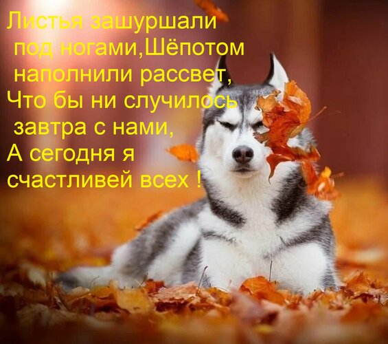 Открытка Листья зашуршали под ногами, шёпотом наполнили рассвет, что бы ни случилось завтра с нами, а сегодня...