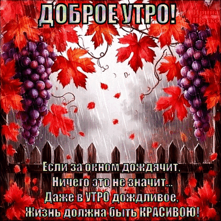 Анимированная открытка Доброе утро!