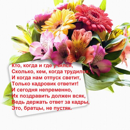 Открытка Кто, когда и где учился, Сколько, кем, когда трудился, И когда нам отпуск светит, Только кадровик от