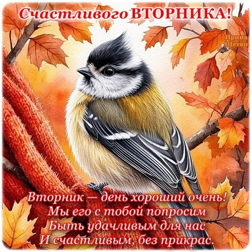 Открытка Счастливого вторника!