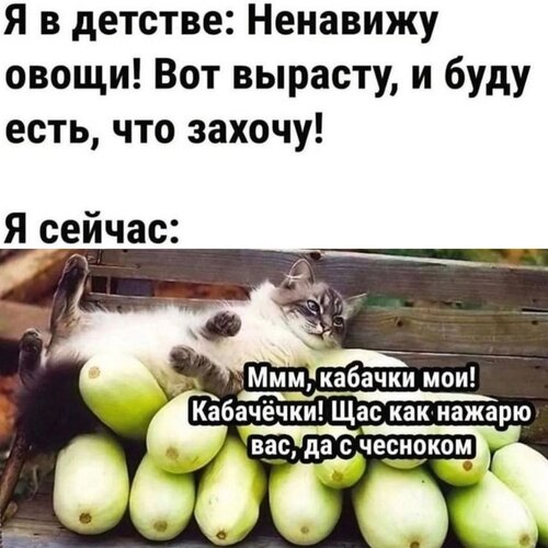 Открытка Я сейчас ммм кабачки мои